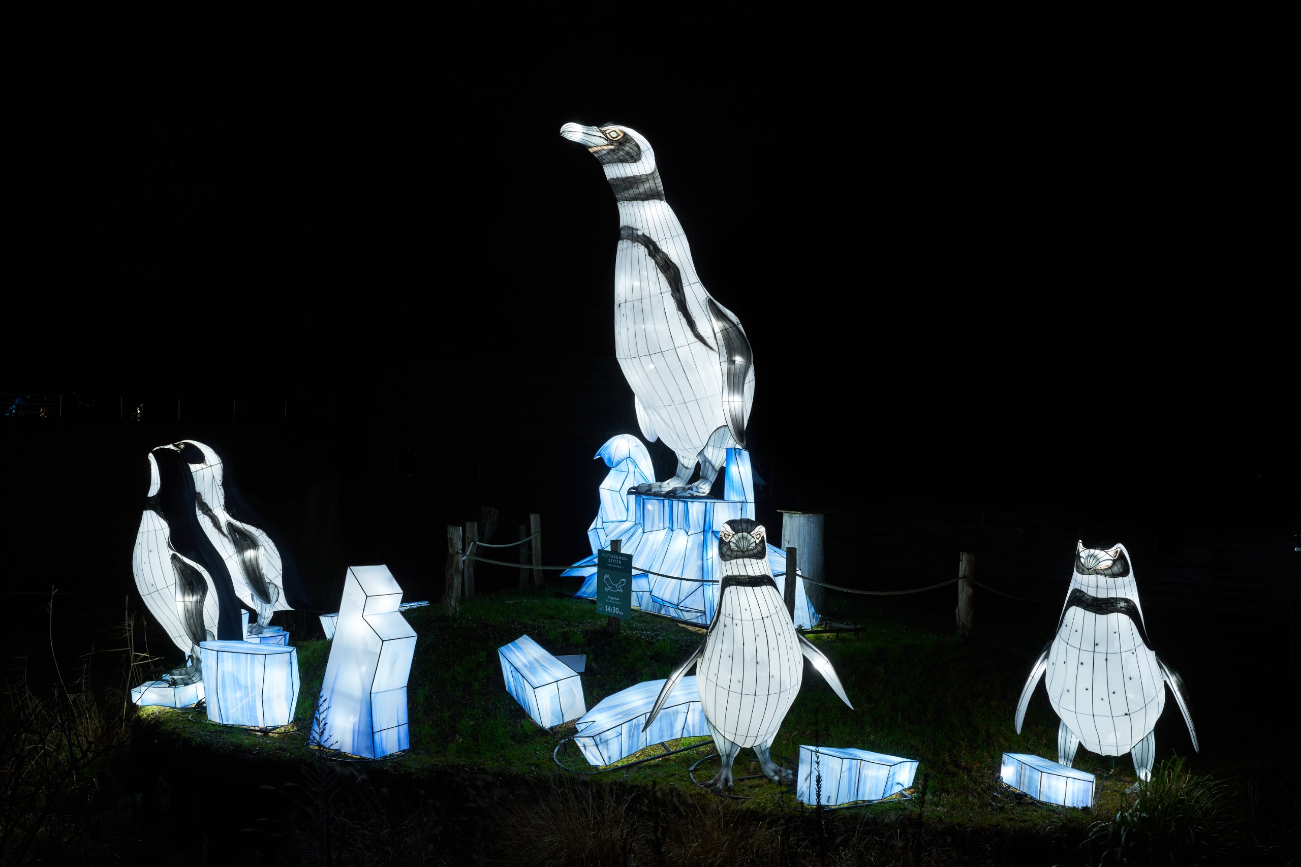 2024 01 03 Köln Zoo China Lights 1221